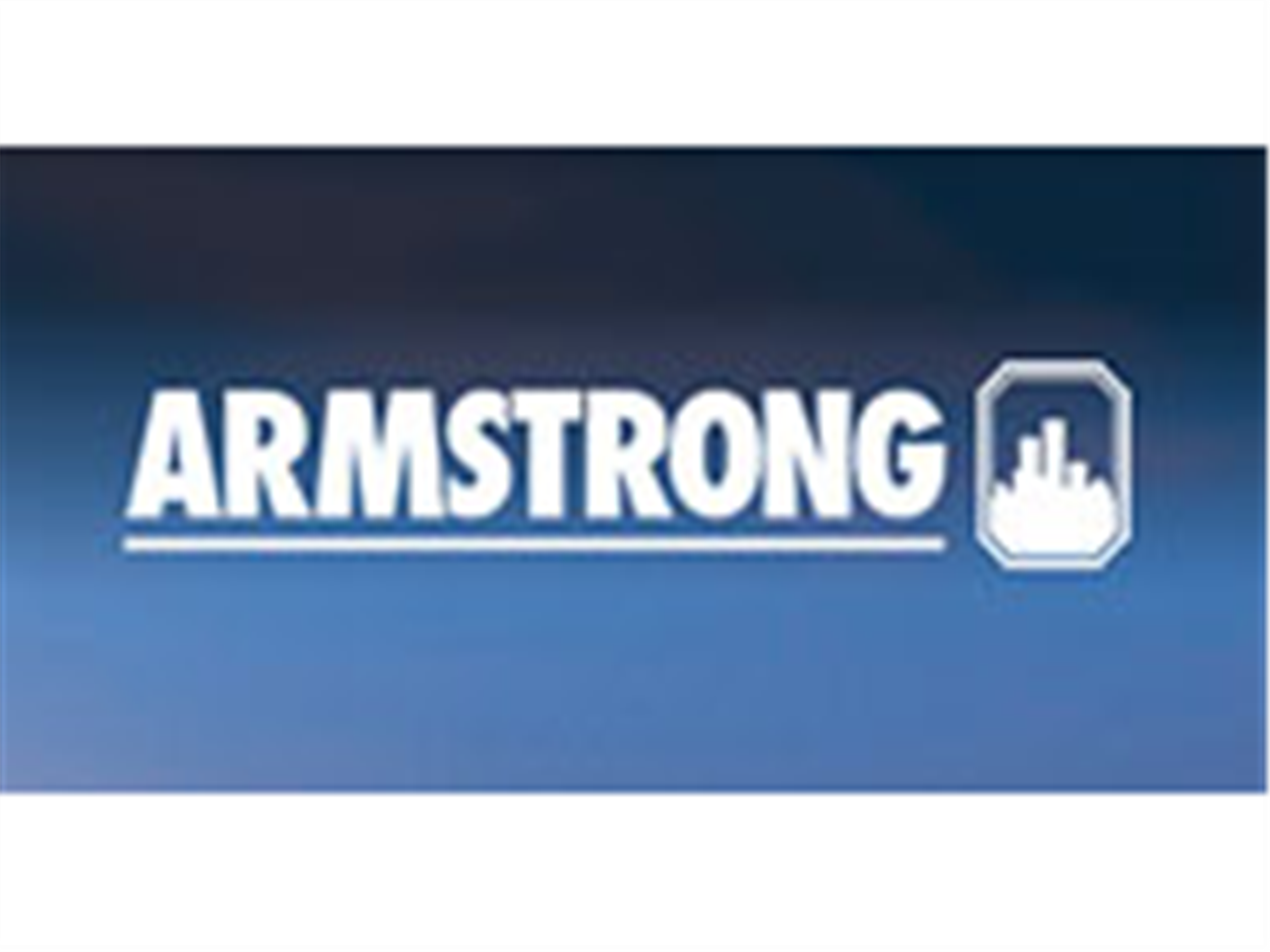 美國ARMSTRONG閥門